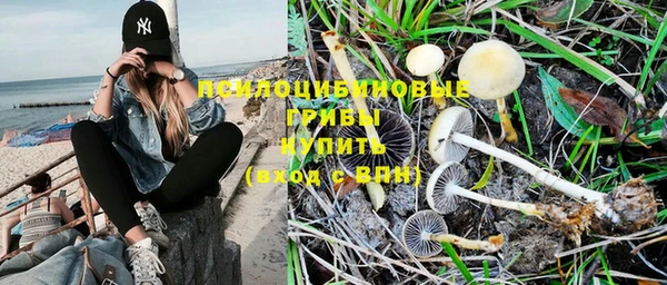синтетический гашиш Балахна